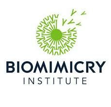 Supporting Innovation with Biomimicry
